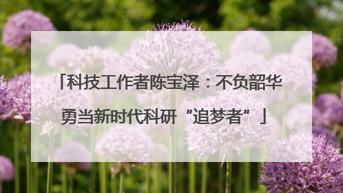 科技工作者陈宝泽：不负韶华 勇当新时代科研“追梦者”