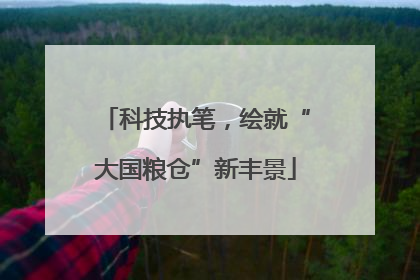 科技执笔，绘就“大国粮仓”新丰景