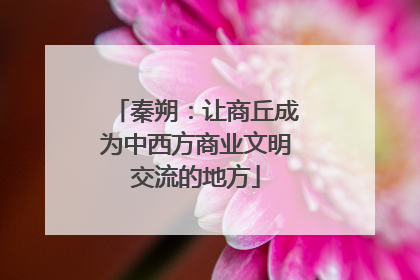 秦朔：让商丘成为中西方商业文明交流的地方