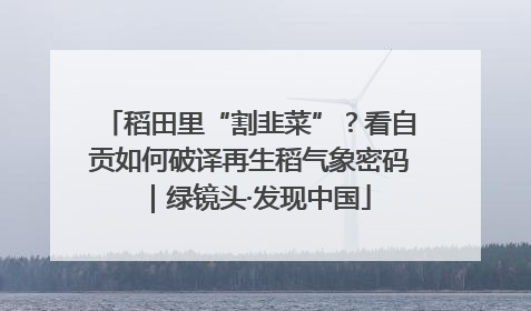 稻田里“割韭菜”？看自贡如何破译再生稻气象密码｜绿镜头·发现中国