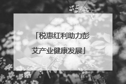 税惠红利助力彭艾产业健康发展