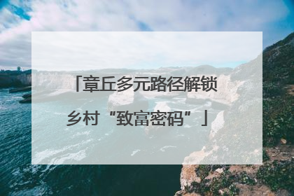 章丘多元路径解锁乡村“致富密码”