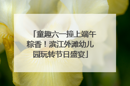 童趣六一撞上端午粽香！滨江外滩幼儿园玩转节日盛宴