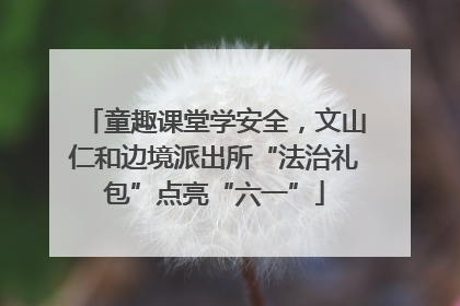 童趣课堂学安全，文山仁和边境派出所“法治礼包”点亮“六一”