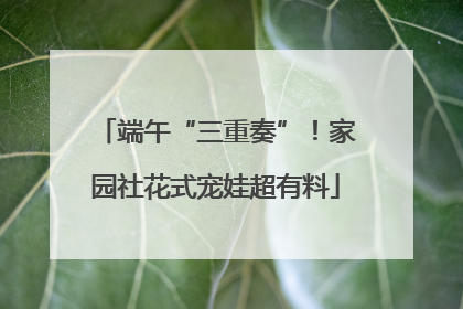端午“三重奏”！家园社花式宠娃超有料