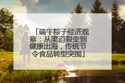 端午粽子经济观察：从渠道裂变到健康出海，传统节令食品转型突围