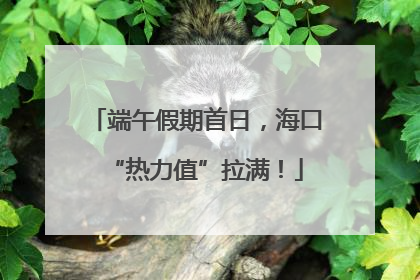 端午假期首日，海口“热力值”拉满！