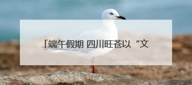 端午假期 四川旺苍以“文旅流量”激活“消费增量”