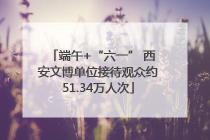 端午+“六一” 西安文博单位接待观众约51.34万人次