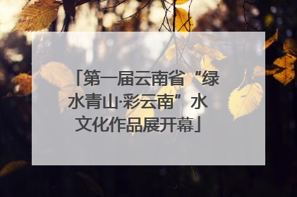 第一届云南省“绿水青山·彩云南”水文化作品展开幕