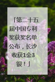 第二十五届中国专利奖获奖名单公布，长沙收获1金3银！