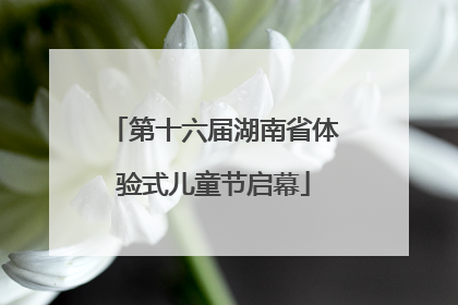 第十六届湖南省体验式儿童节启幕