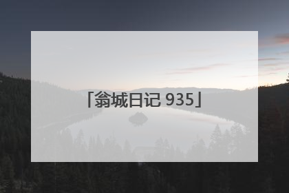 翁城日记 935