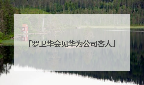 罗卫华会见华为公司客人