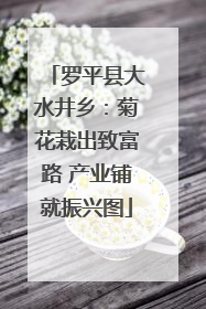 罗平县大水井乡：菊花栽出致富路 产业铺就振兴图