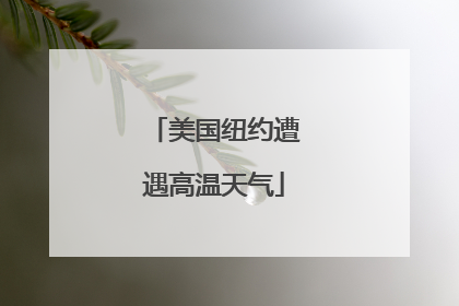 美国纽约遭遇高温天气
