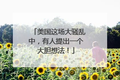 美国这场大骚乱中，有人提出一个大胆想法！