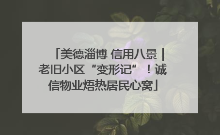 美德淄博 信用八景｜老旧小区“变形记”！诚信物业焐热居民心窝