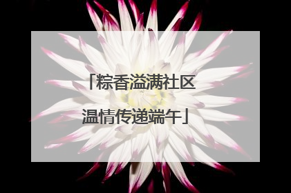 粽香溢满社区 温情传递端午