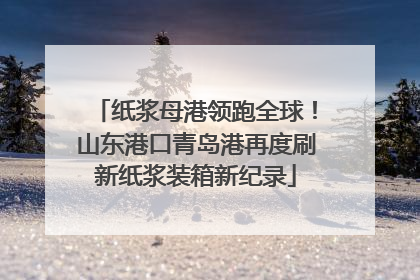 纸浆母港领跑全球！山东港口青岛港再度刷新纸浆装箱新纪录