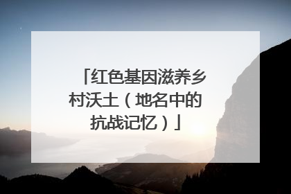 红色基因滋养乡村沃土（地名中的抗战记忆）