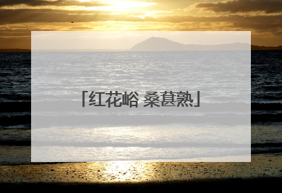 红花峪 桑葚熟