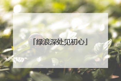 绿浪深处见初心