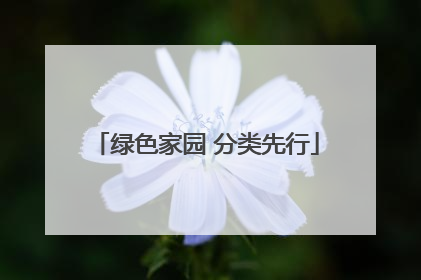 绿色家园 分类先行