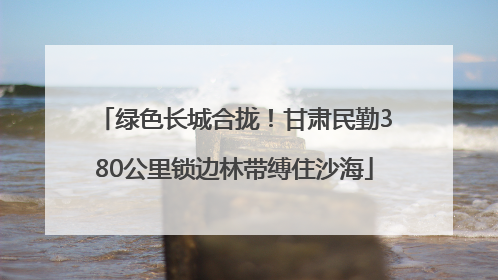 绿色长城合拢！甘肃民勤380公里锁边林带缚住沙海
