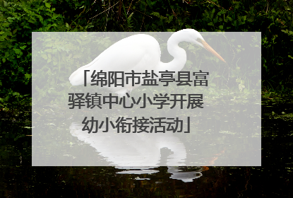 绵阳市盐亭县富驿镇中心小学开展幼小衔接活动