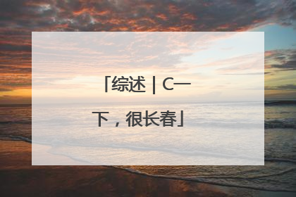 综述｜C一下，很长春