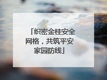 织密金桂安全网格，共筑平安家园防线