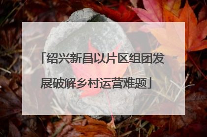 绍兴新昌以片区组团发展破解乡村运营难题
