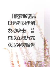 俄罗斯谴责以色列对伊朗发动攻击，普京以在线方式获取冲突报告