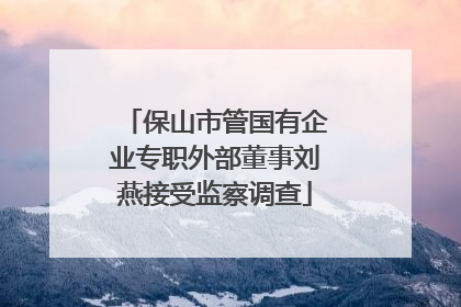 保山市管国有企业专职外部董事刘燕接受监察调查