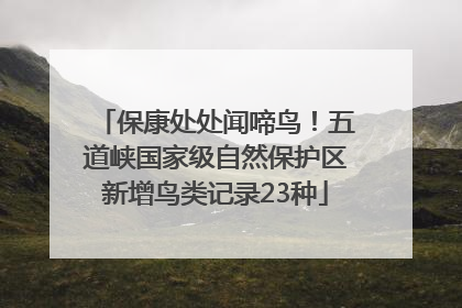保康处处闻啼鸟！五道峡国家级自然保护区新增鸟类记录23种
