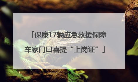 保康17辆应急救援保障车家门口喜提“上岗证”