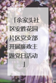 余家头社区安胜花园片区党支部开展廉政主题党日活动
