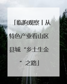 临朐观察丨从特色产业看山区县城“乡土生金”之路