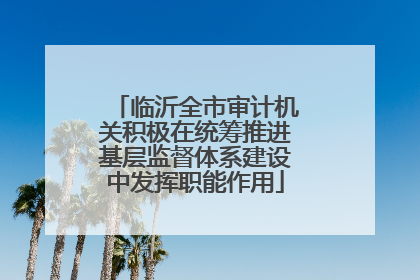 临沂全市审计机关积极在统筹推进基层监督体系建设中发挥职能作用