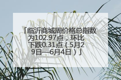 临沂商城周价格总指数为102.97点，环比下跌0.31点（5月29日—6月4日）