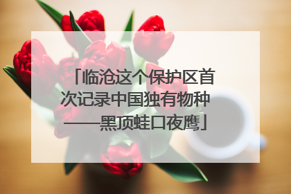 临沧这个保护区首次记录中国独有物种——黑顶蛙口夜鹰