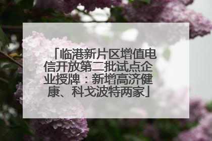 临港新片区增值电信开放第二批试点企业授牌：新增高济健康、科戈波特两家