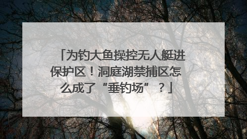 为钓大鱼操控无人艇进保护区！洞庭湖禁捕区怎么成了“垂钓场”？