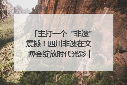 主打一个“非遗”震撼！四川非遗在文博会绽放时代光彩｜文博向“新”