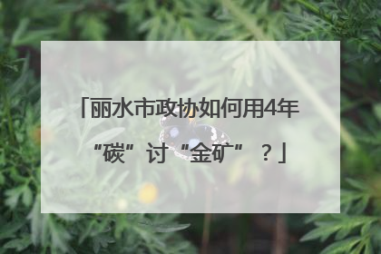 丽水市政协如何用4年“碳”讨“金矿”？