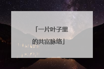 一片叶子里的共富脉络