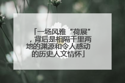 一场风雅“荷展”，背后是相隔千里两地的渊源和令人感动的历史人文情怀