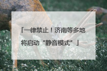 一律禁止！济南等多地将启动“静音模式”