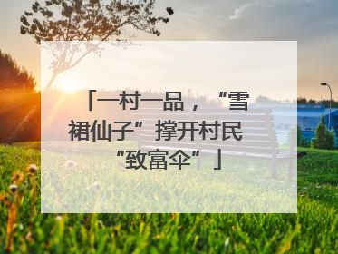 一村一品，“雪裙仙子”撑开村民“致富伞”